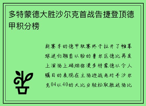 多特蒙德大胜沙尔克首战告捷登顶德甲积分榜